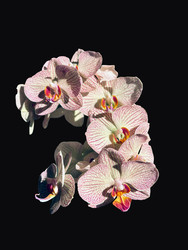 Similar image 22221919