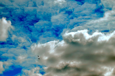 Similar image 22222638