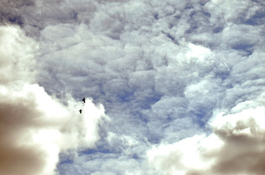 Similar image 22222641