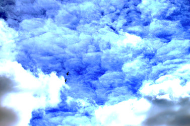 Similar image 22222643