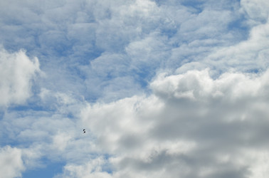 Similar image 22222647