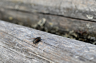 Similar image 22222648