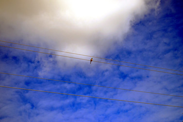 Similar image 22222649