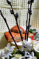 Similar image 22222653