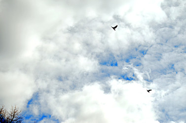 Similar image 22222654