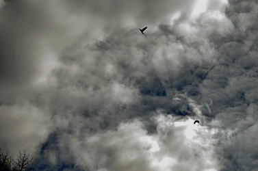 Similar image 22222655