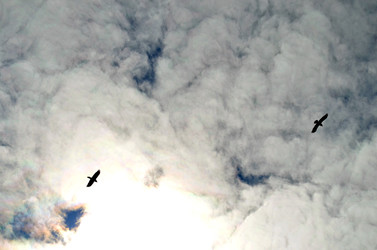 Similar image 22222656