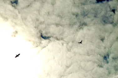 Similar image 22222657