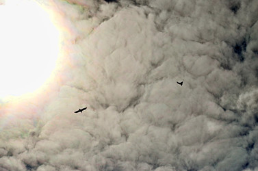 Similar image 22222658