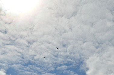 Similar image 22222659