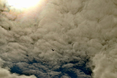 Similar image 22222660