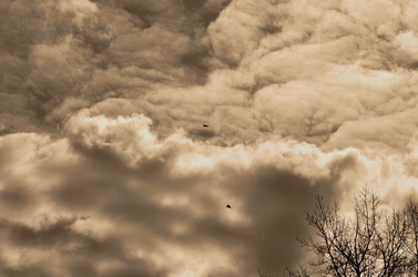 Similar image 22222663