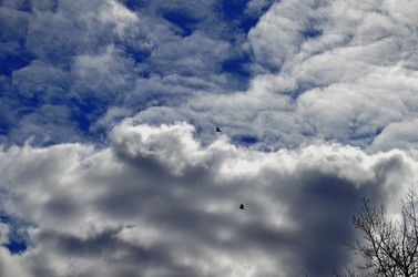 Similar image 22222664