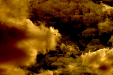 Similar image 22222667