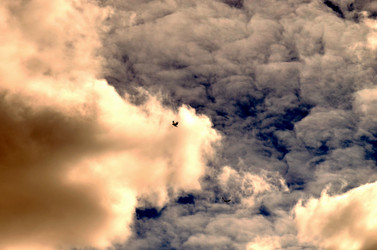 Similar image 22222668