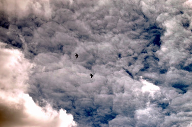 Similar image 22222669