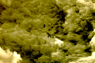 Similar image 22222672