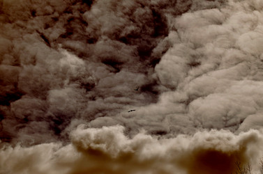 Similar image 22222673