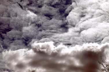 Similar image 22222674