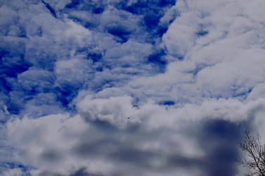 Similar image 22222675