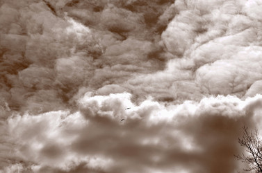 Similar image 22222676