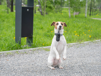 Similar image 22226086