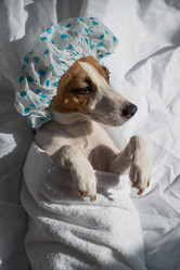 Similar image 22226088