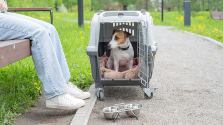 Similar image 22226326