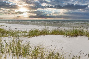 Similar image 22233220