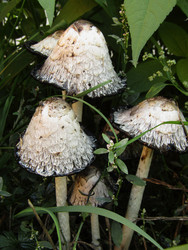 Similar image 22222907