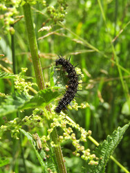 Similar image 22223110