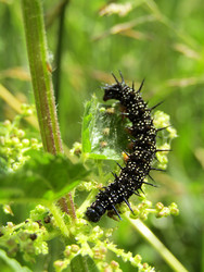 Similar image 22223111