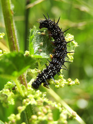 Similar image 22223112