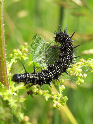 Similar image 22223113