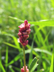 Similar image 22222909