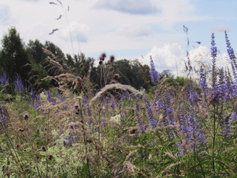 Similar image 22223114