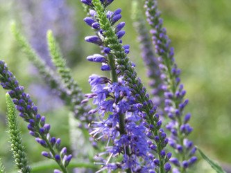 Similar image 22222910