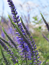 Similar image 22222911