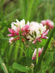 Similar image 22222912