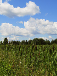 Similar image 22224090