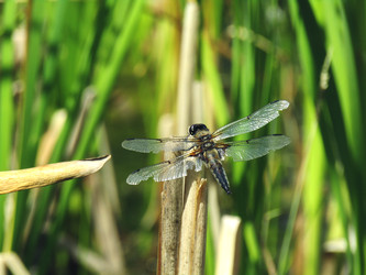 Similar image 22223115