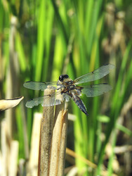 Similar image 22224091