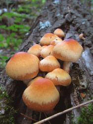 Similar image 22222498