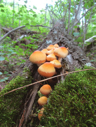 Similar image 22222499