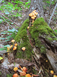 Similar image 22222500