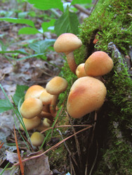 Similar image 22222501