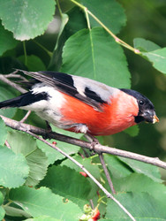 Similar image 22222913