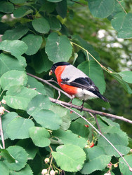 Similar image 22222914