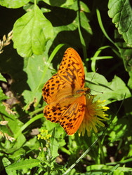 Similar image 22222395