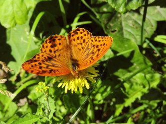 Similar image 22222396